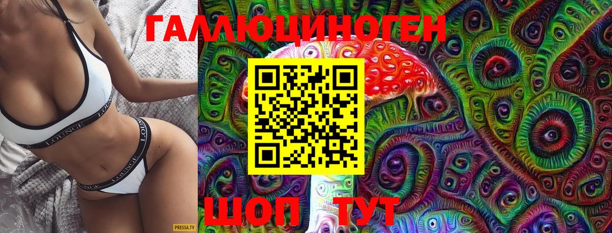 Псилоцибиновые грибы MAGIC MUSHROOMS  Псилоцибиновые грибы прущие грибы  Качканар  купить   Вход с VPN 