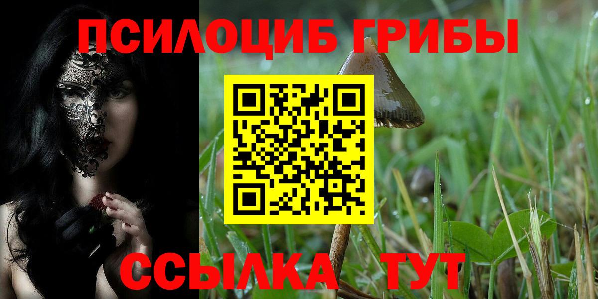 Галлюциногенные грибы GOLDEN TEACHER Качканар